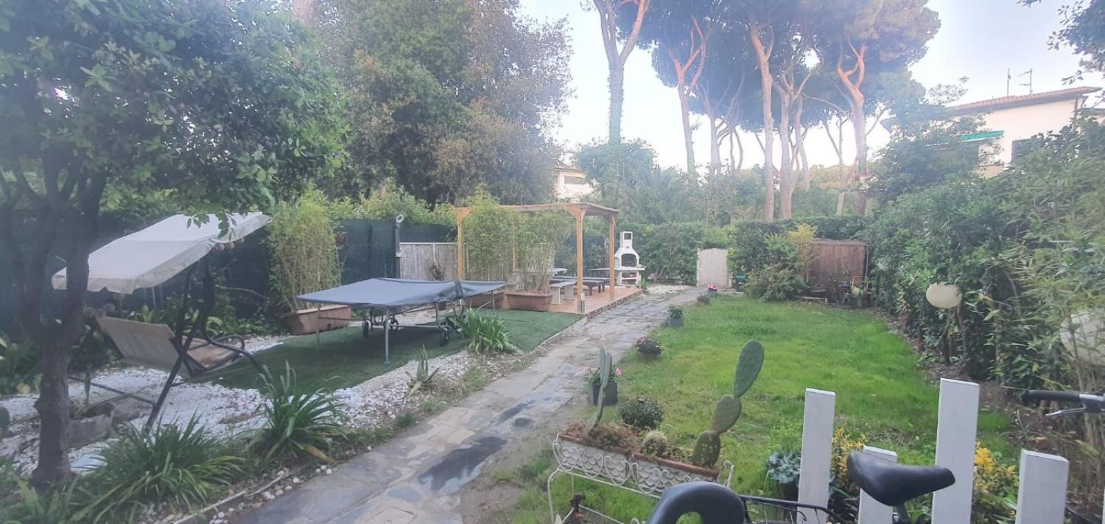 Domusauroom, Relax Nel Cuore Della Versilia - Pet Friendly Viareggio Exterior foto
