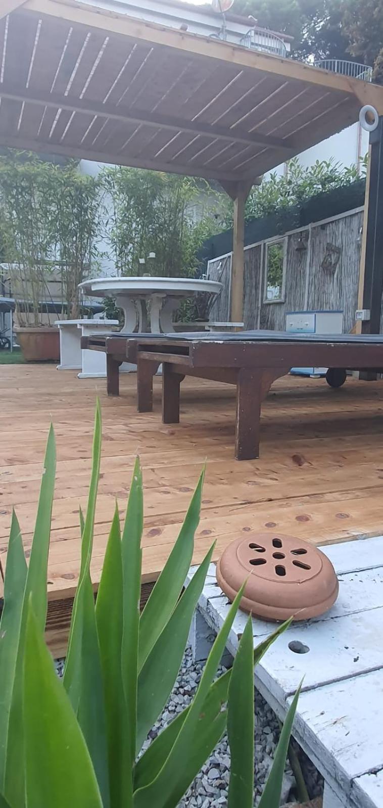 Domusauroom, Relax Nel Cuore Della Versilia - Pet Friendly Viareggio Exterior foto